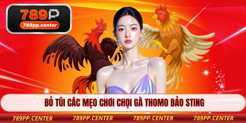 Bỏ túi các mẹo chơi chọi gà Thomo Bảo Sting