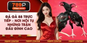 Đá Gà 88 Trực Tiếp