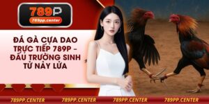 Đá Gà Cựa Dao Trực Tiếp