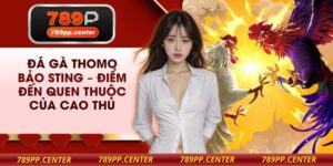 Đá Gà Thomo Bảo Sting