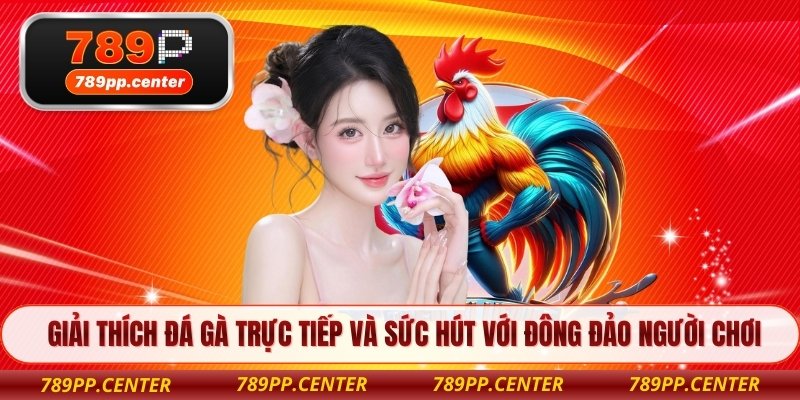 Giải thích đá gà trực tiếp và sức hút với đông đảo người chơi