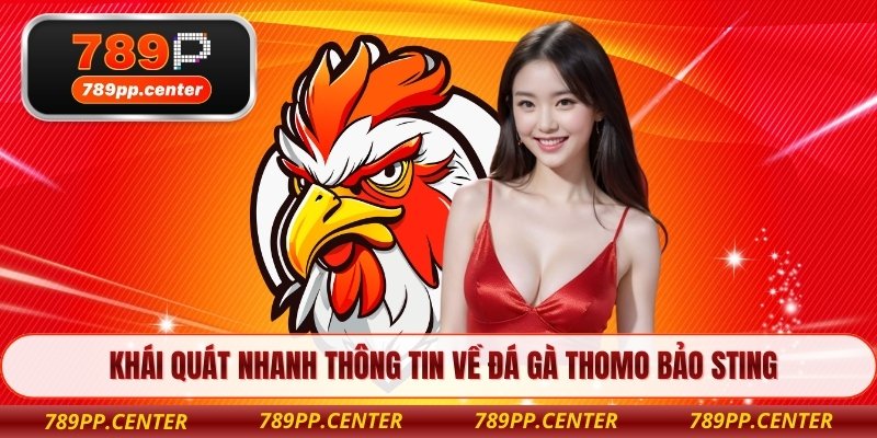 Khái quát nhanh thông tin về đá gà Thomo Bảo Sting