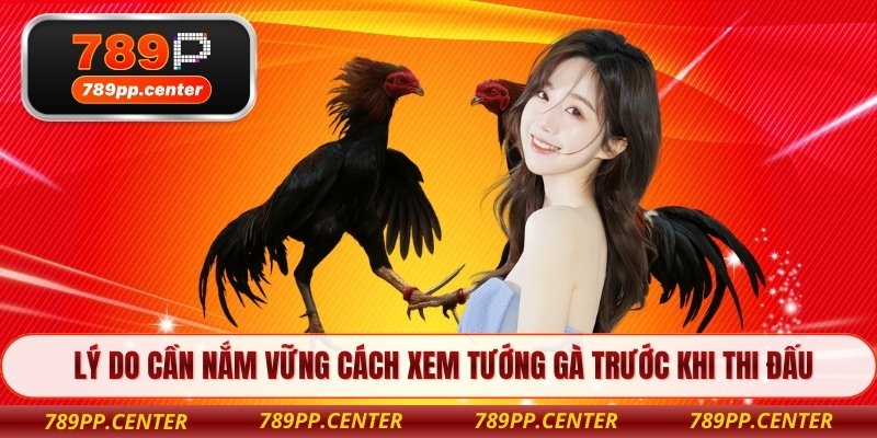 Lý do cần nắm vững cách xem tướng gà trước khi thi đấu