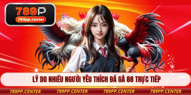 Lý do nhiều người yêu thích đá gà 88 trực tiếp