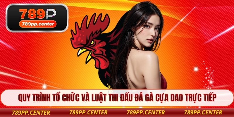 Quy trình tổ chức và luật thi đấu đá gà cựa dao trực tiếp 