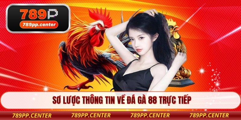 Sơ lược thông tin về đá gà 88 trực tiếp